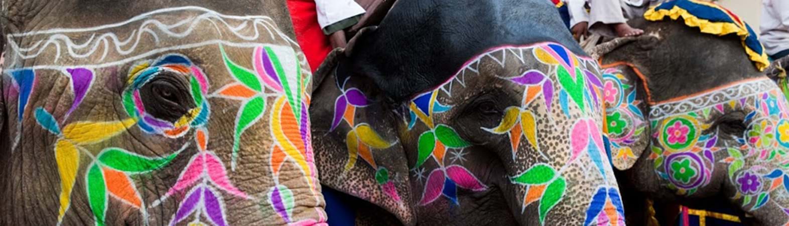 The Colourful Elephant Festival